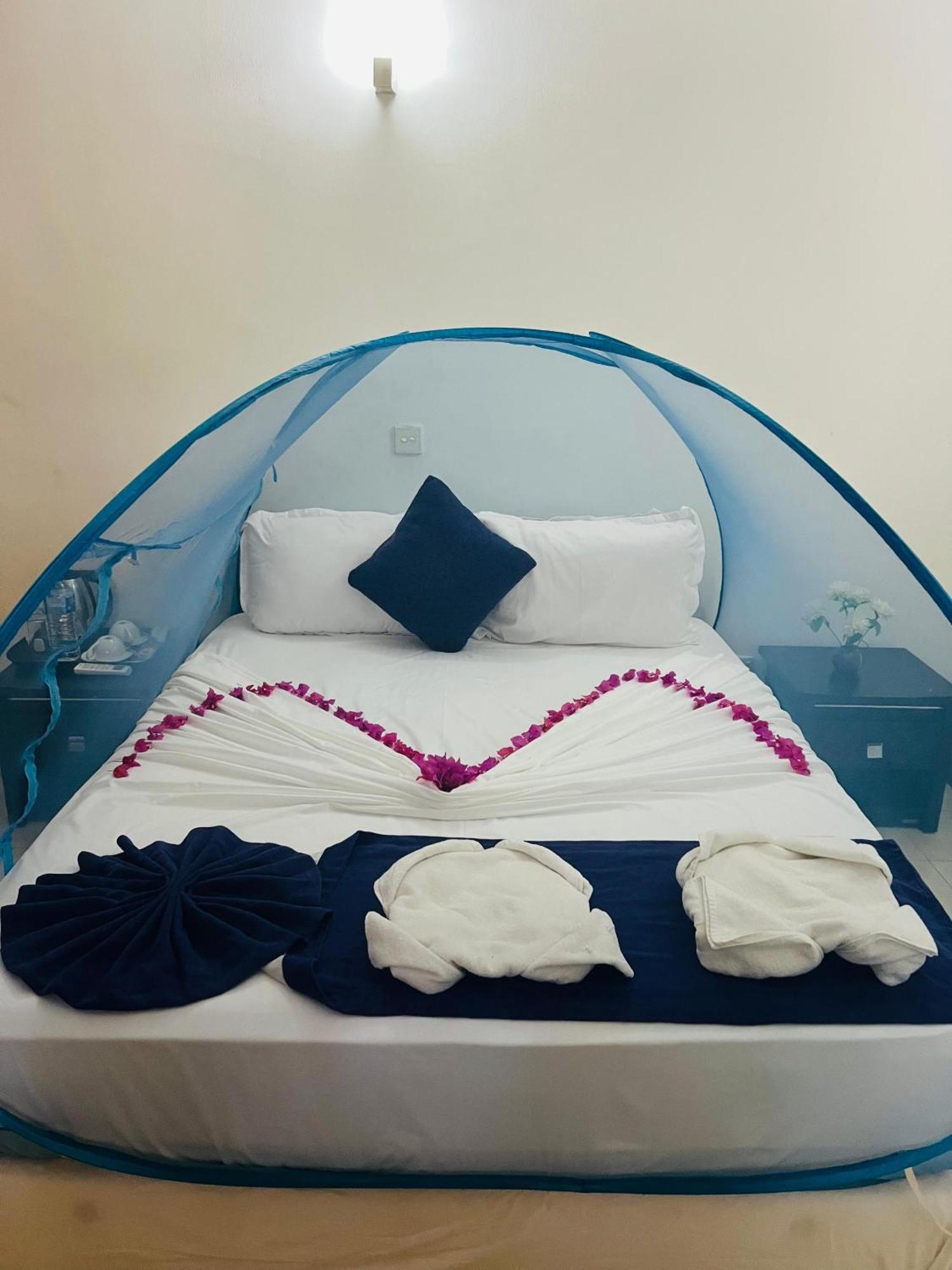 Ocean Beauty Guest House نيجومبو المظهر الخارجي الصورة