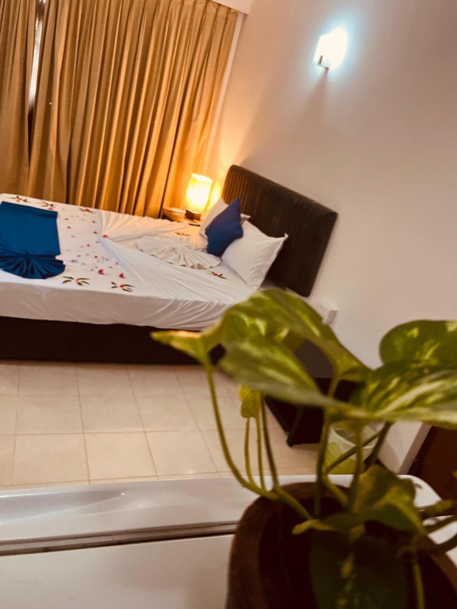 Ocean Beauty Guest House نيجومبو المظهر الخارجي الصورة