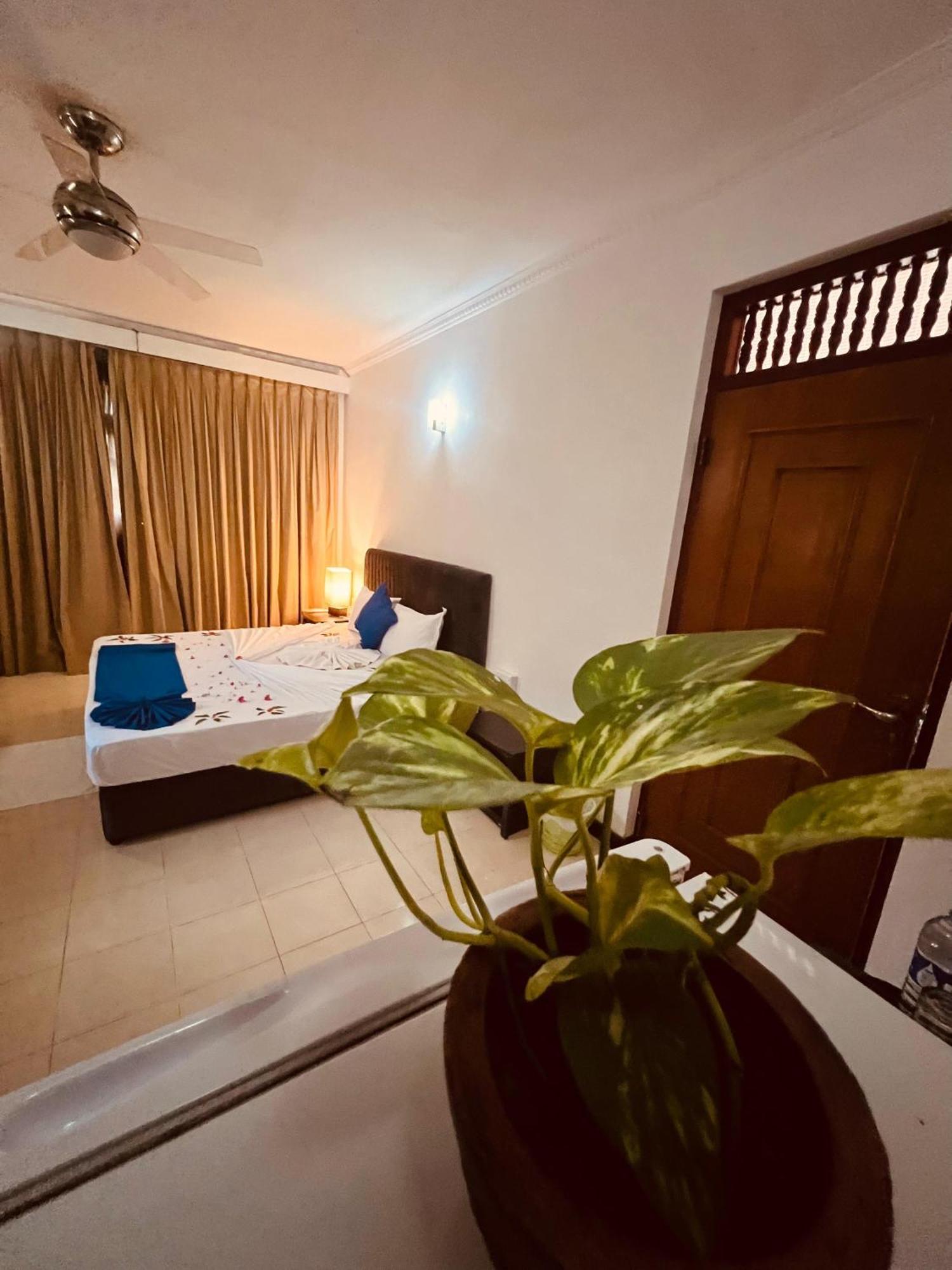 Ocean Beauty Guest House نيجومبو المظهر الخارجي الصورة