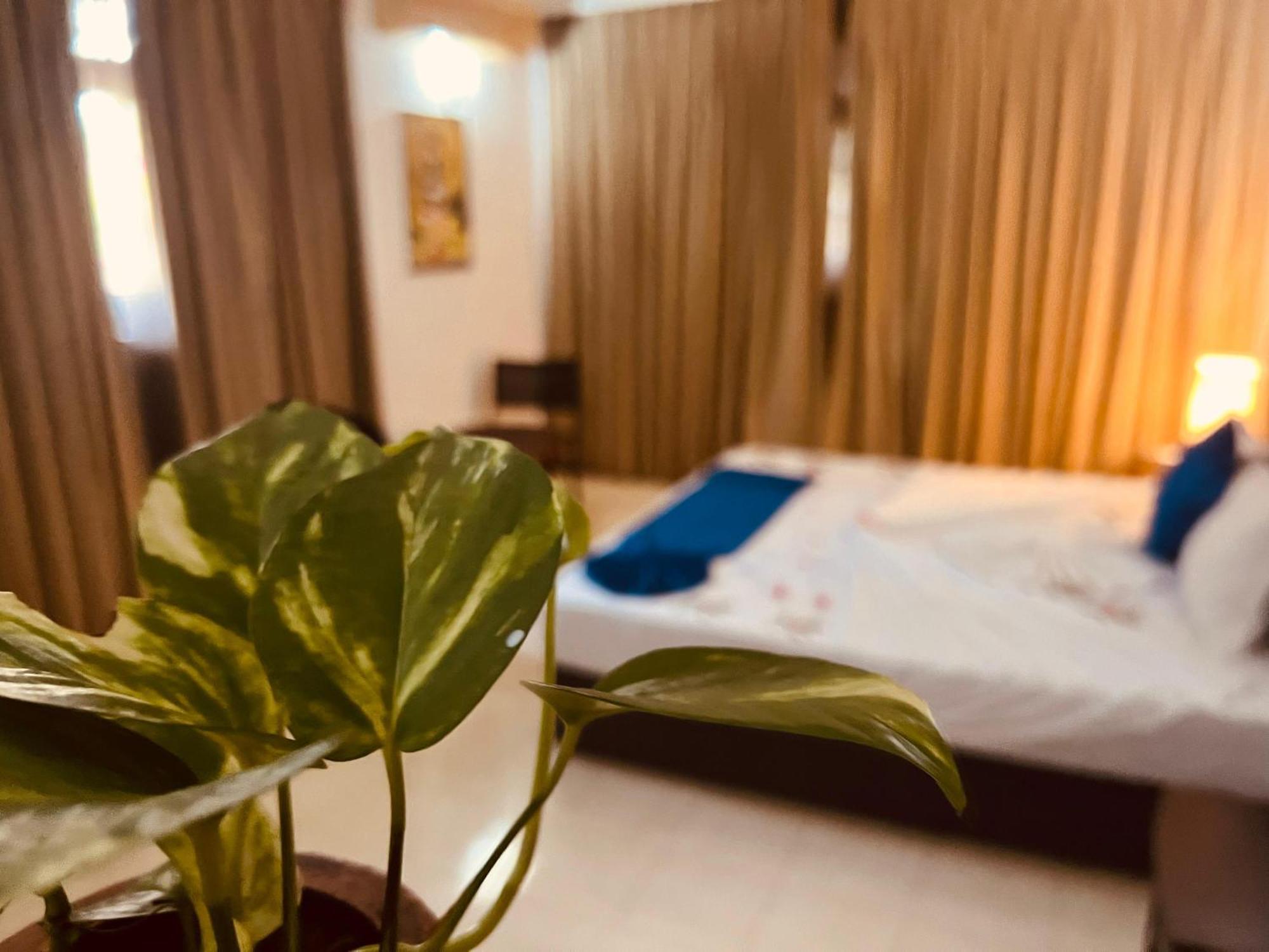 Ocean Beauty Guest House نيجومبو المظهر الخارجي الصورة